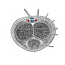 泰坦凝胶 - 男士首选！