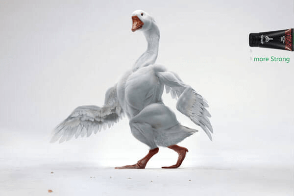 一个使用泰坦凝胶后的自述